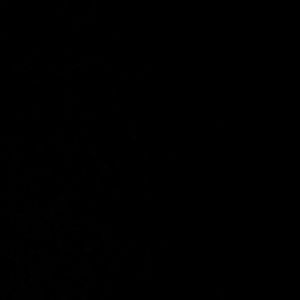 Meet your Posher, Troy